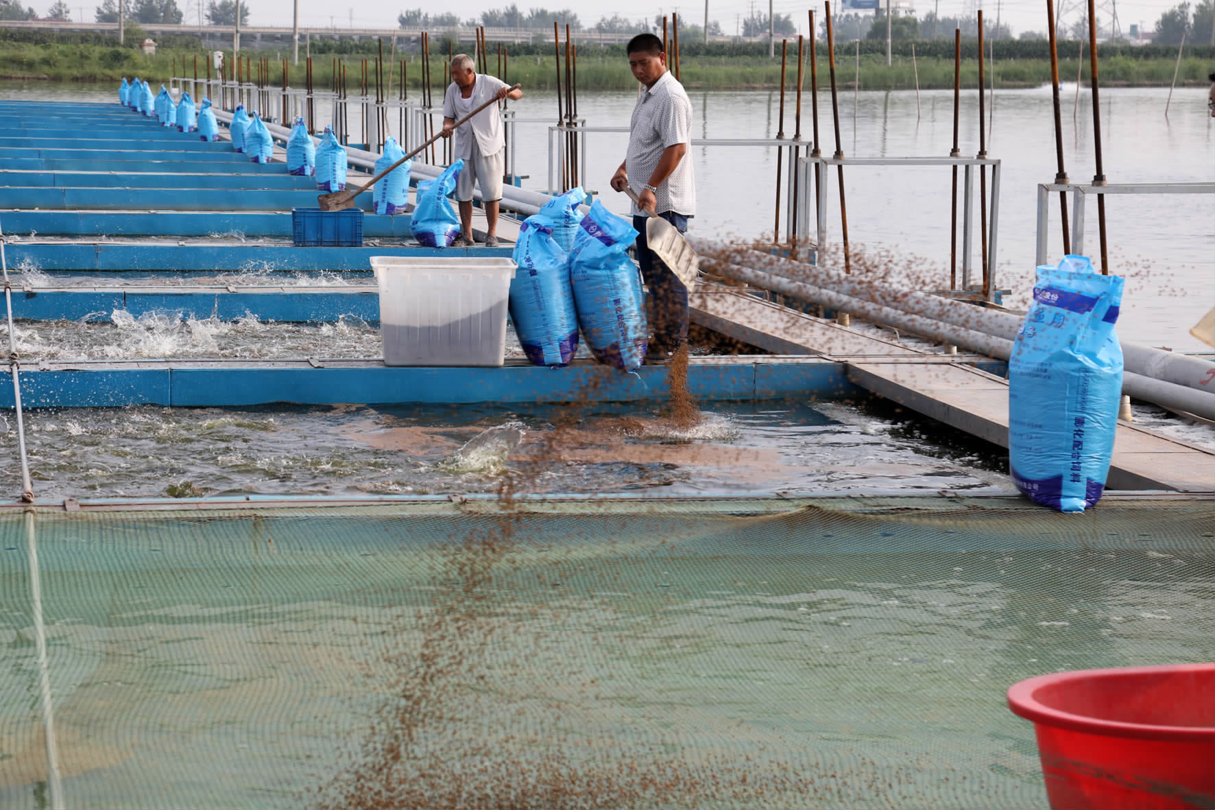 綠色引擎驅(qū)動(dòng)產(chǎn)業(yè)升級(jí)——市農(nóng)辦主任、農(nóng)業(yè)農(nóng)村局局長(zhǎng)楊中校赴德清調(diào)研水產(chǎn)養(yǎng)殖業(yè)綠色發(fā)展